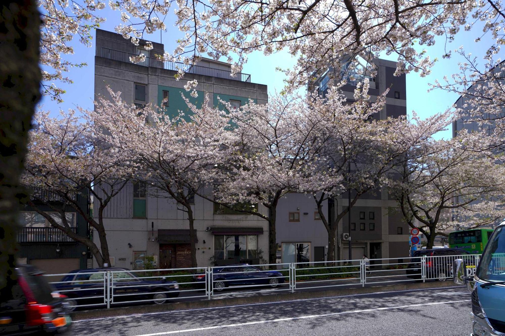 Penthouse 1-Bedroom Flat In Hiroo Shibuya Präfektur Tokio Exterior foto